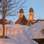 fliegen St. Märgen